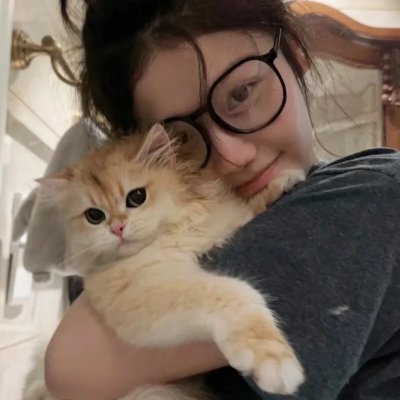 好莱坞以北